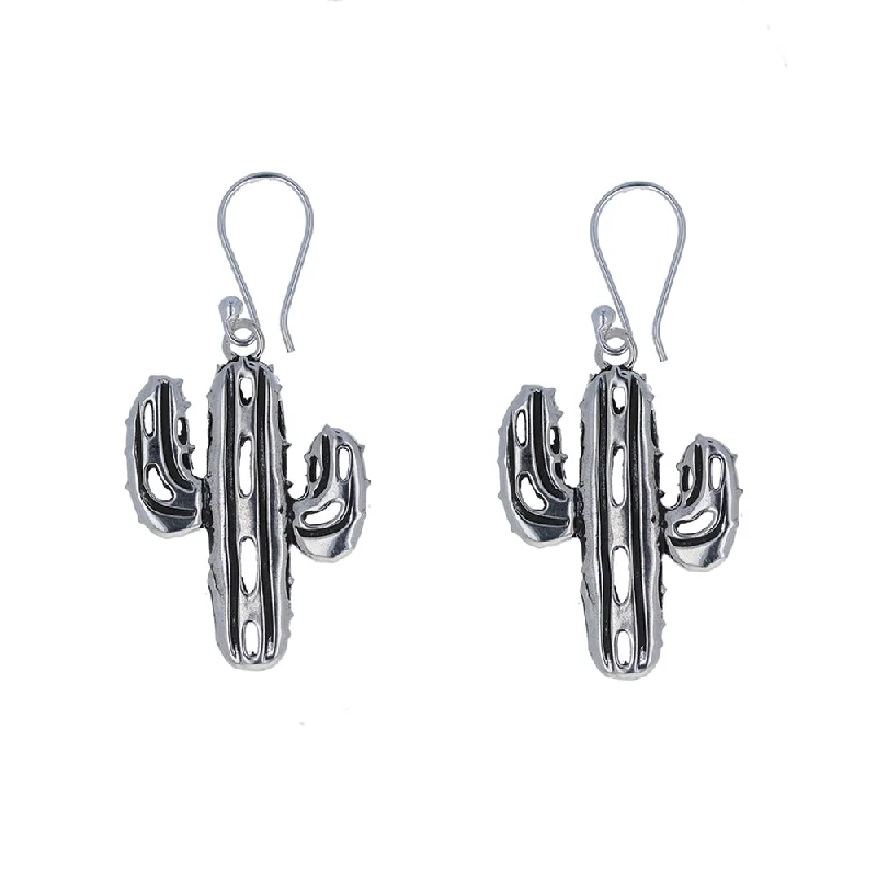 silver earrings for women -Cactus Southwest Earrings